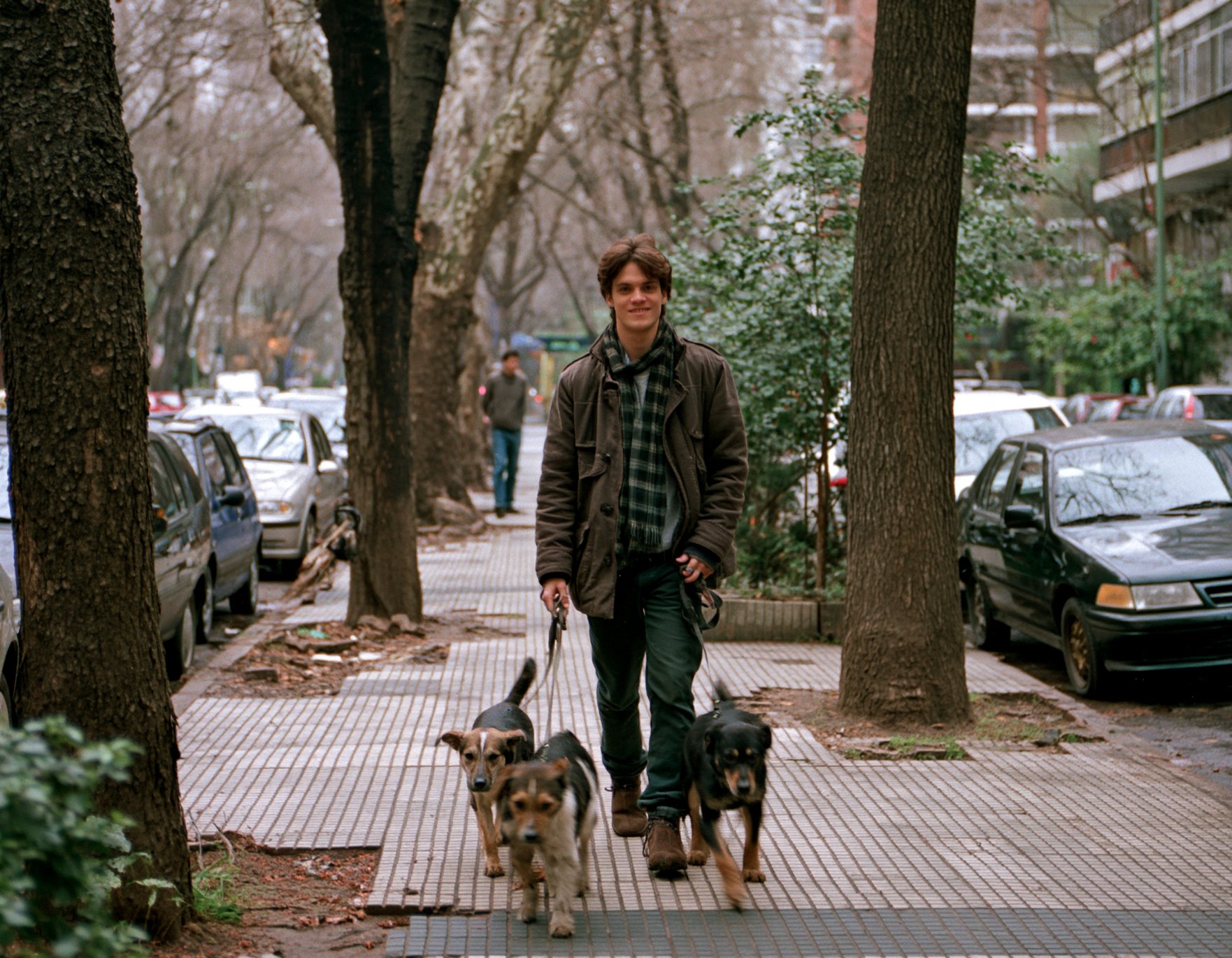 Paseador caminando con tres perros por una vereda arbolada de Buenos Aires